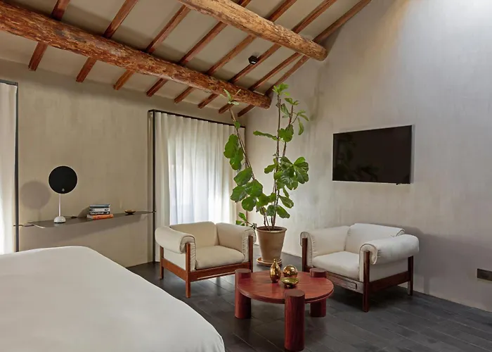 Palazzo Petrvs Orvieto